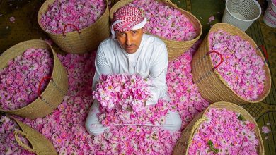 استثمارات الورد الطائفي في السوق السعودي