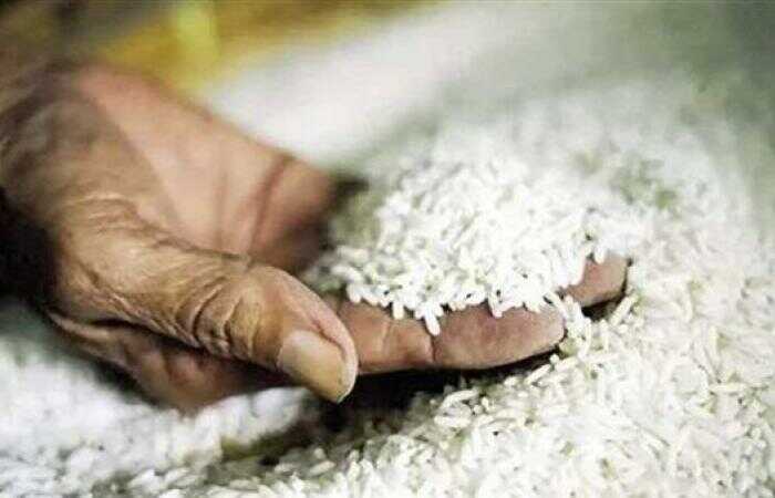 أسعار المواد الغذائية في مارس ارتفاع الدقيق وتراجع الأرز