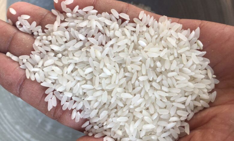 سعر طن الأرز الشعير اليوم .. انخفاض أسعار الأرز الأبيض